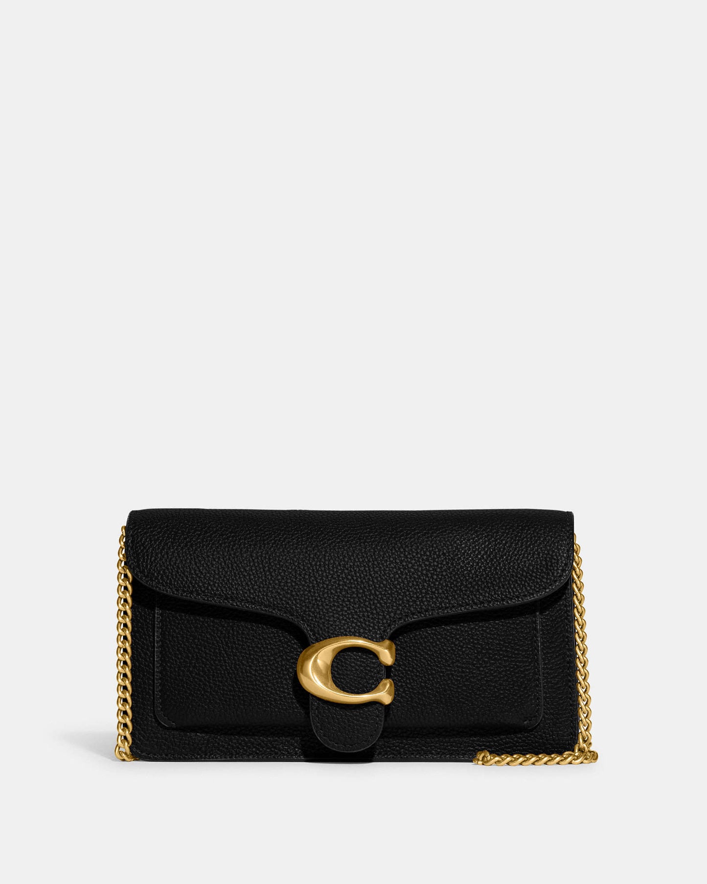 Tabby Chain Clutch