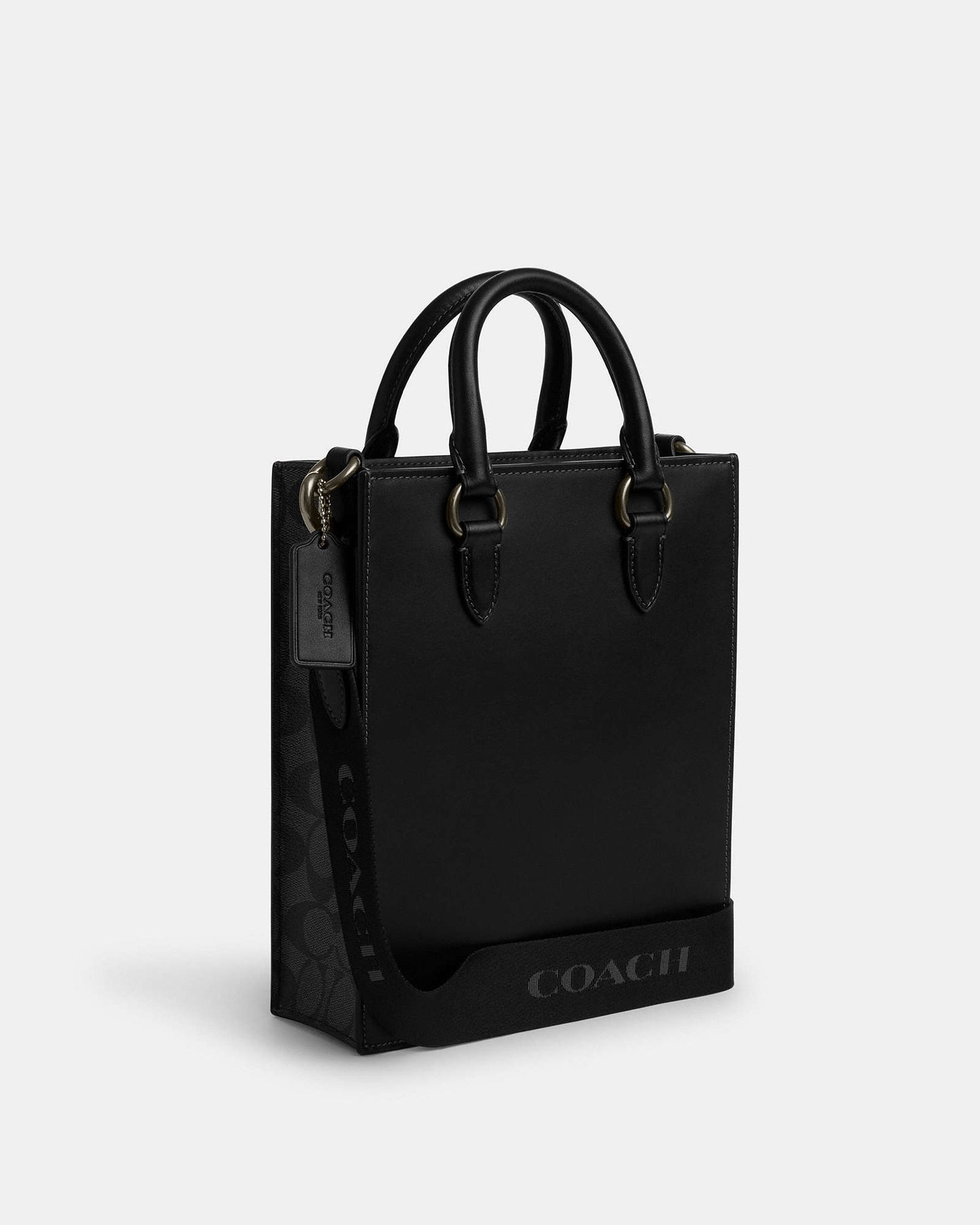 Dylan Tote In Colorblock Signature Canvas